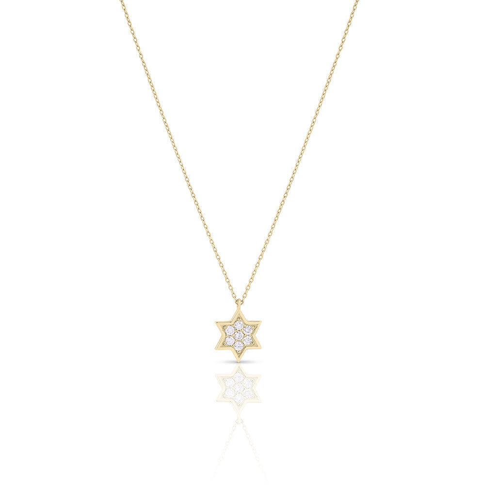 14k gold large full Star of David necklace