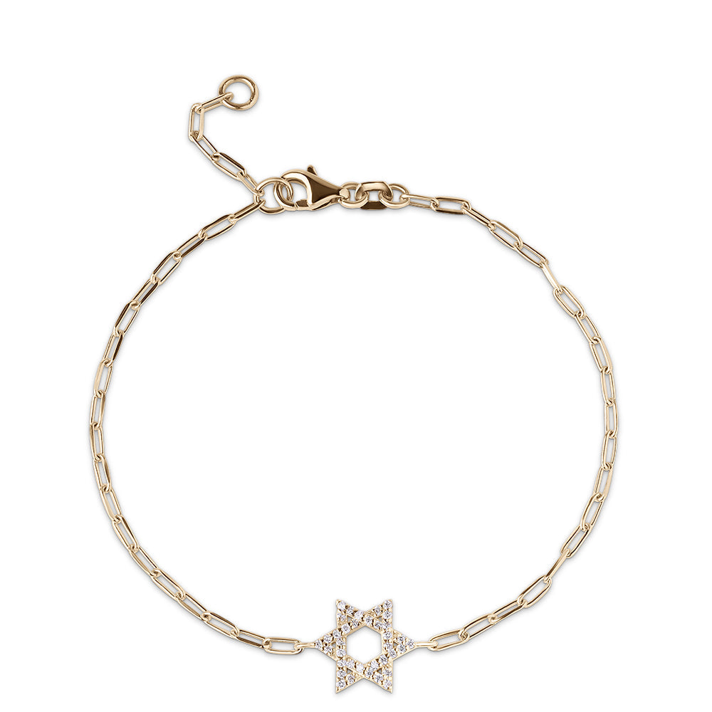Classic star of David paperclip
