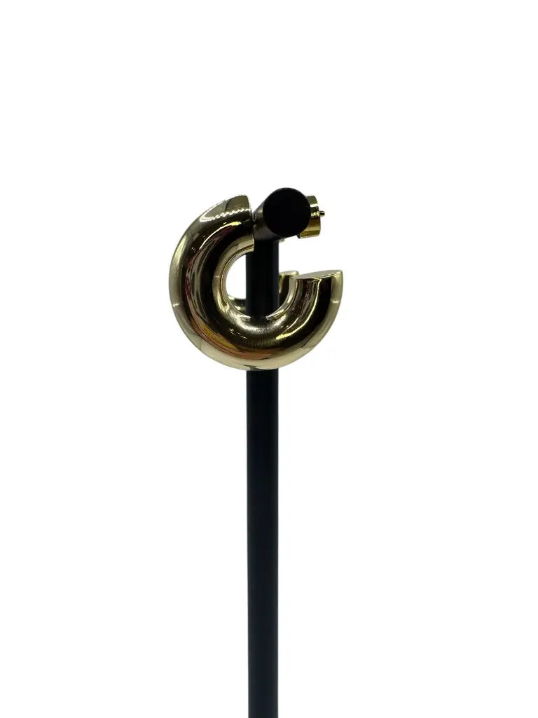 Chunky Gold Hoop Earrings YG